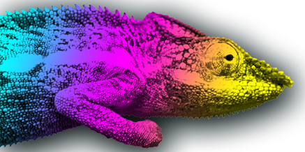 Direktdruck auf fast jedem Untergrund